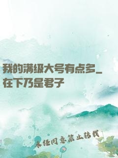 我的满级大号有点多