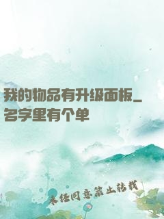 我的物品有升级面板