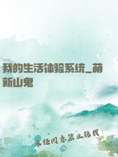 我的生活体验系统