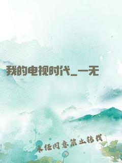 我的电视时代