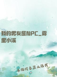 我的男友是NPC