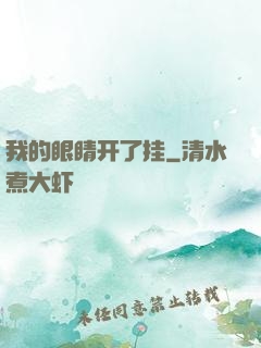 我的眼睛开了挂