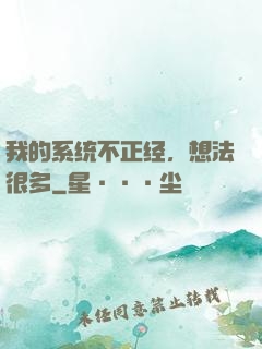 我的系统不正经，想法很多
