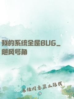 我的系统全是BUG