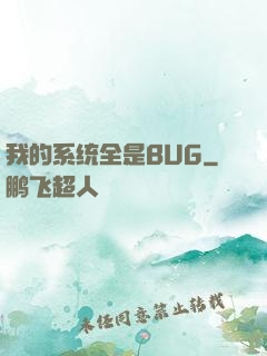 我的系统全是BUG