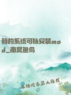 我的系统可以安装mod
