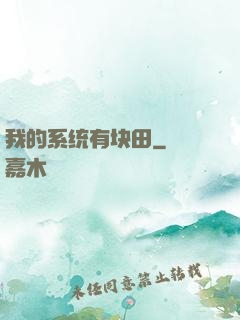 我的系统有块田