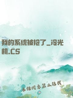 我的系统被抢了