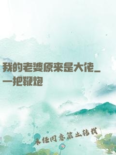 我的老婆原来是大佬