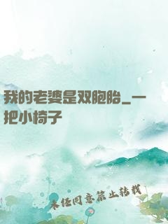 我的老婆是双胞胎