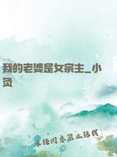 我的老婆是女宗主