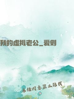 我的虚拟老公