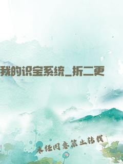我的识宝系统