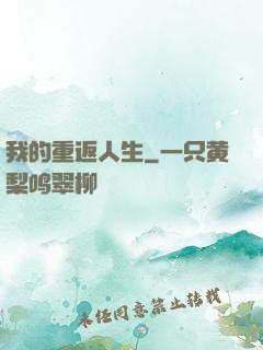 我的重返人生