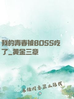 我的青春被BOSS吃了