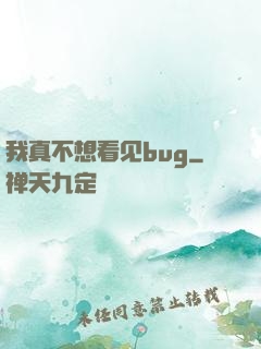 我真不想看见bug