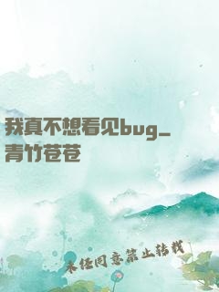 我真不想看见bug