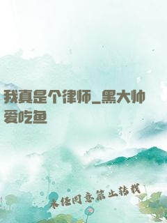 我真是个律师