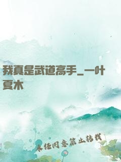 我真是武道高手