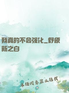 我真的不会强化