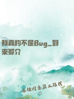 我真的不是Bug
