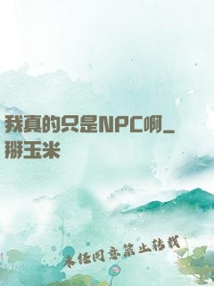 我真的只是NPC啊