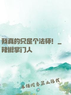 我真的只是个法师！