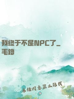 我终于不是NPC了