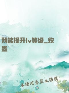 我能提升lv等级