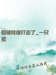 我被降维打击了