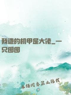 我造的机甲是大佬