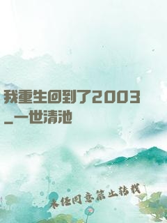 我重生回到了2003