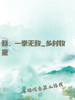 我，一拳无敌