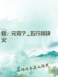 我，元芳？