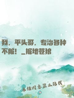 我，平头哥，专治各种不服！