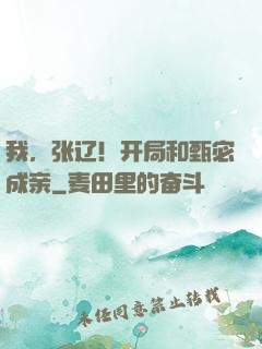我，张辽！开局和甄宓成亲