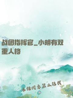 战团指挥官