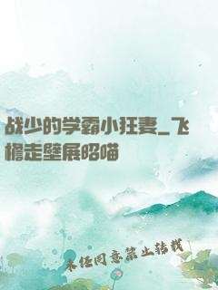 战少的学霸小狂妻