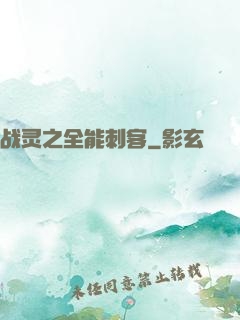 战灵之全能刺客