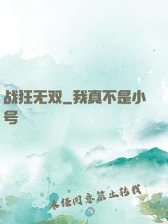 战狂无双