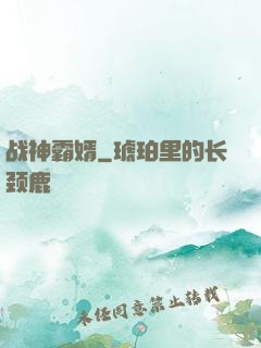战神霸婿