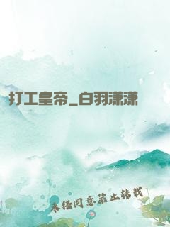 打工皇帝