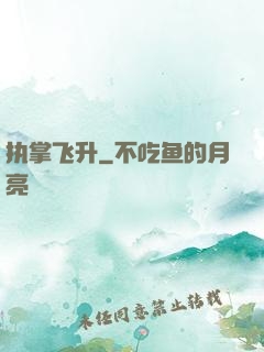 执掌飞升