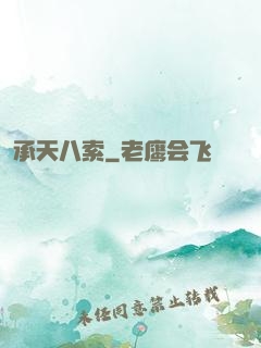 承天八索