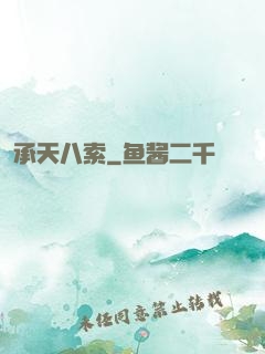 承天八索