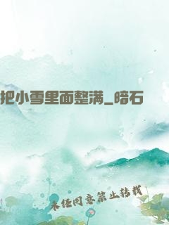 把小雪里面整满