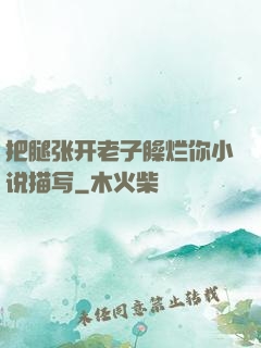 把腿张开老子臊烂你小说描写