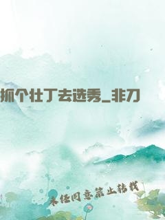抓个壮丁去选秀