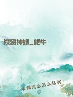 投资神婿