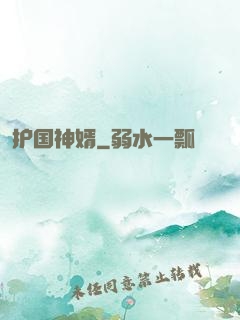 护国神婿